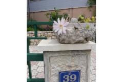 Rako Appartementen Marilka Appartement 3 – APARTMAN 2 foto 1