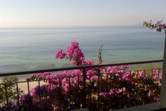 Appartementen Jure Appartement 2 – apartman1 foto 1