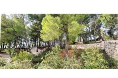 Appartementen Lavica Appartement 3 – E3 foto 1