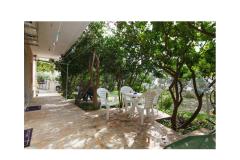 Appartementen Bougainvillea Appartement 3 – apartman foto 4