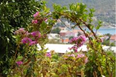 Appartementen  ToJo Appartement 3 – A3 foto 2