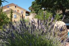 Appartementen Dumičić Appartement 3 – A6 donji foto 3