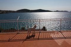 Appartementen Bebe Appartement 1 – terasa foto 2