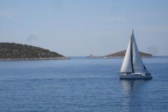 Appartementen Vesna Appartement 1 – roga foto 3