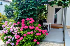 Appartementen i Kamers Markovic Appartement 1 – "KRASNO" foto 2