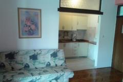 Vila Salvia Appartement 1 – Apart.101 foto 3