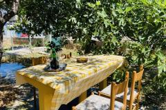 Beach Huis Appartement 1 – GARDEN foto 3