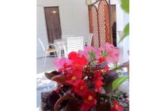 Villa Aura Maris Appartement 2 – Anka foto 2