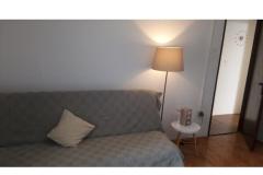 Appartementen Dana Appartement 3 – APARTMENT foto 4