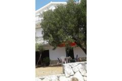 Vakantiehuis Mirjana Appartement 1 – Mirjana foto 4