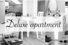 Logos Appartement 1 – Delux foto 1