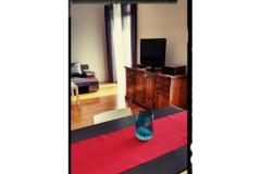 Lu-Do Appartementen Appartement 1 – One foto 5