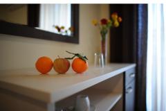 Appartementen &amp; Kamers Jelavić Slaapkamer 5 – Soba bazen foto 1