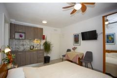 Pensioen Huis Kovač Slaapkamer 2 – Studio 3 foto 3