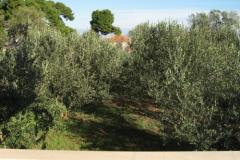 Appartementen Ante Appartement 1 – A1 foto 5