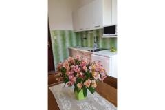 Appartementen Branko Vidaković Appartement 4 – Apartman 4 foto 4