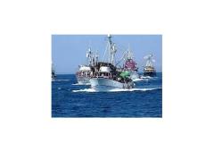 Appartement Matija Appartement 1 – Matija foto 3