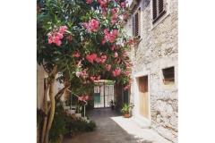 Appartementen Stone Huis Appartement 1 – Lavanda foto 1