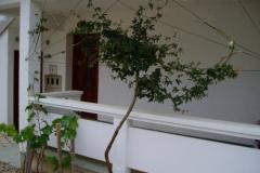 Appartementen Beta Appartement 4 – A4 foto 4