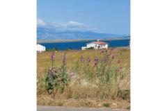 Appartementen Mišković Appartement 1 foto 1