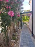 Appartementen Taramis Appartement 3 – pink foto 5