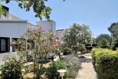Appartementen Budija / Lavanda Appartement 1 – Lavanda 1 foto 2