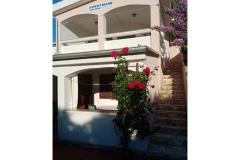 Appartementen Galunić Appartement 1 – prizemlje foto 1