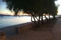 Kiwi Huis Appartement 1 – Rada foto 1