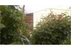 Appartementen DANI Appartement 1 – HomeM. M4 foto 5