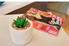 Appartementen Zadar Huis Appartement 4 – Apartment4 foto 5