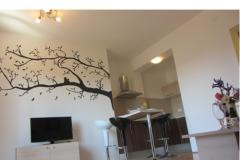 Appartementen Zora Appartement 2 – apartman 2 foto 1