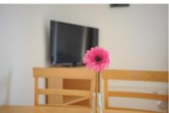 Appartement Graf Appartement 3 – Ap 2+3 foto 4
