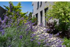 Villa Nina D Appartement 1 – Villa Nina foto 5