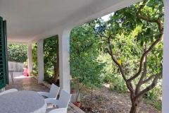 Appartementy Nevescanin Appartement 1 – App 1 foto 5