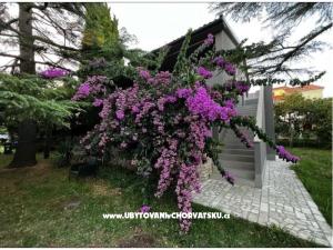 Flowers Appartement Medulin, Fucane 2