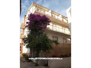 Appartementen Zuban