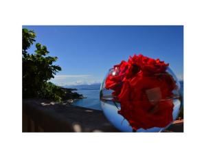 Appartementen Perla