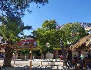 Appartementen Plavi Jadran