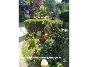 Appartementen Majica