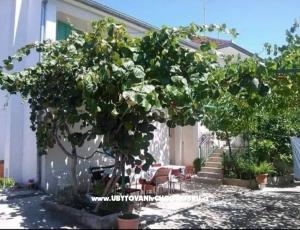 Appartement Marina