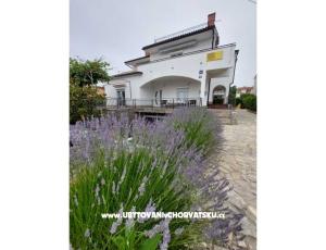 Huis Antica 