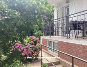 Appartementen Rubinić 