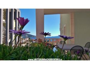 Appartementen DaMa