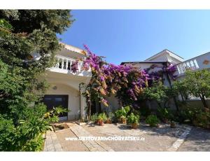Appartementen Kamelija