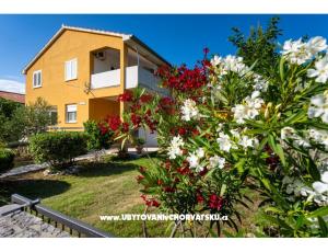 Appartement Agava Seline