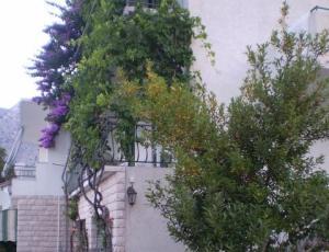 Appartementen Antonela Drašnice