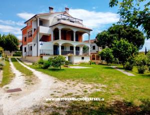 Appartementen i Kamers Markovic