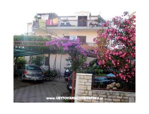 Appartementen Ante