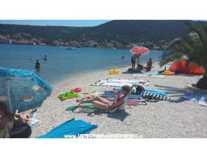 Appartementen Tri palme