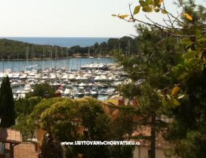 Appartementen Rakovac Vrsar